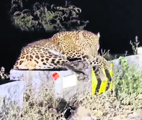 క్లుప్తంగా