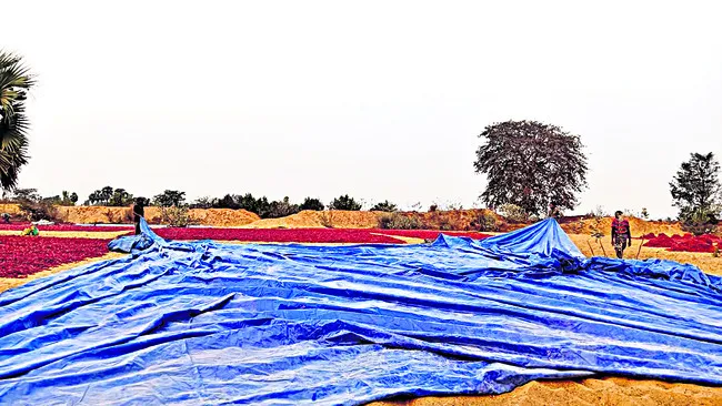 ముత్తంగి అలంకరణలో రామయ్య