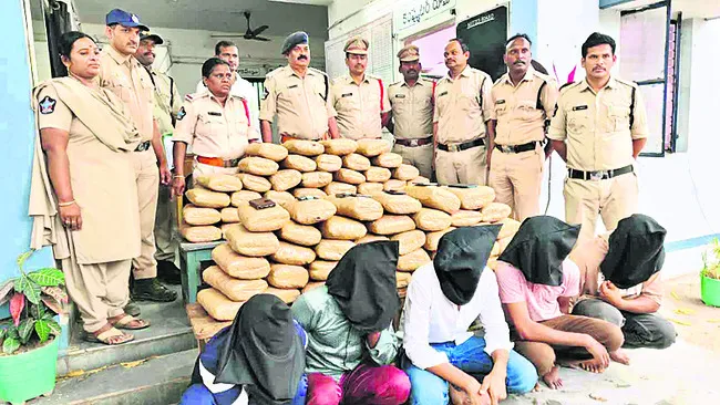 రూ.కోటి గంజాయి పట్టివేత 