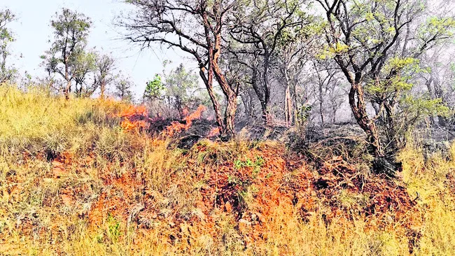 ఆందోళనలపై నమోదైన కేసుల్లోపోలీసుల కౌన్సెలింగ్‌ 