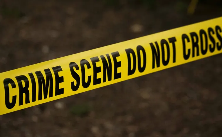  mother throws two month old baby into wood burning stove