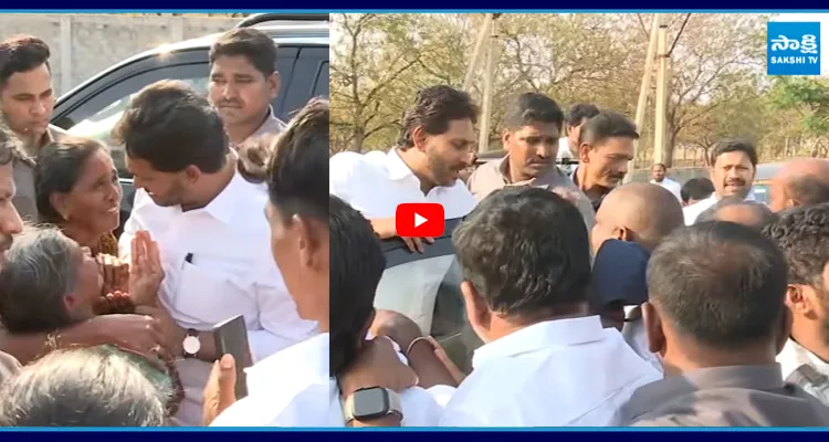 పులివెందుల చేరుకున్న జగన్