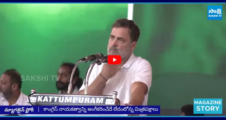 రాహుల్ తప్పుకో.. 2029లో మోదీపై గెలవలేం