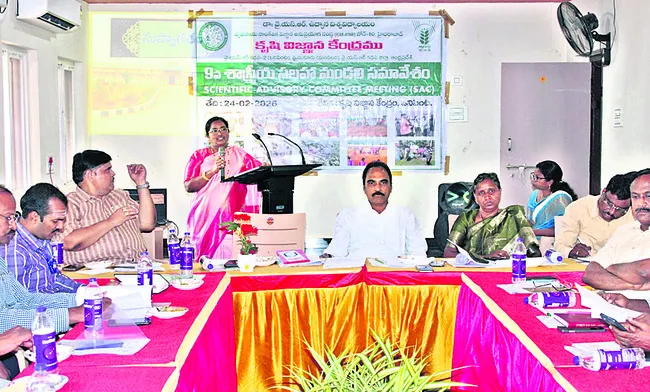 మామిడిలో యాజమాన్య పద్ధతులు పాటించాలి 