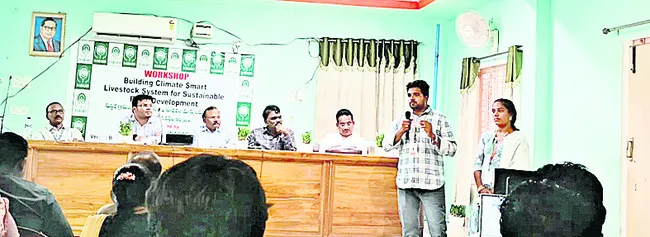 పాడి పశువులకు ఇన్సూరెన్స్‌ చేయించాలి