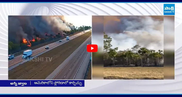 అమెరికాలోని ఫ్లోరిడాలో కార్చిచ్చు