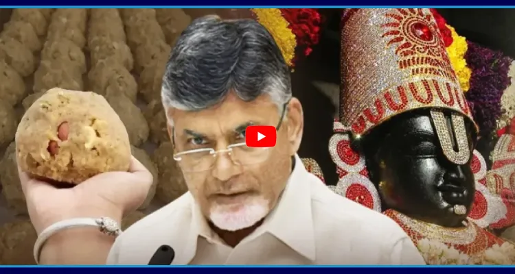 చంద్రబాబు అసలు హిందువువేనా? కేవలం రాజకీయ లబ్ధి కోసం..