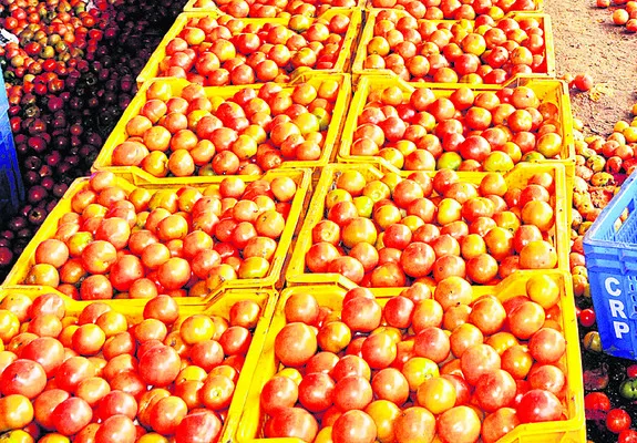 టమాట ధర ఢమాల్‌ 