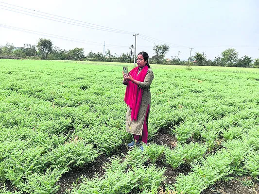 పక్కాగా పంటల నమోదు