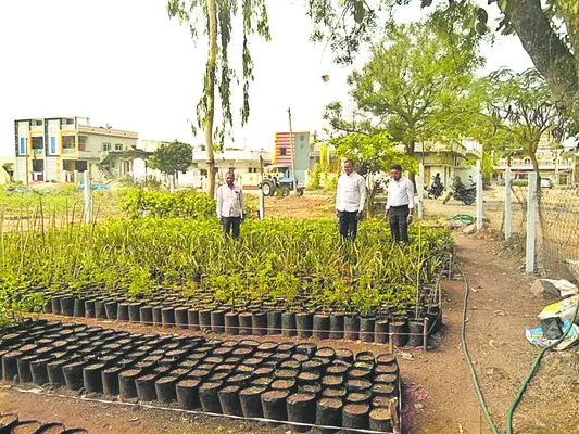 షేడ్‌నెట్‌లు ఏర్పాటు చేసుకోవాలి 