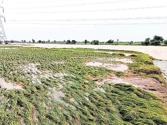 ప్రతీసారి పరిహాసమే..