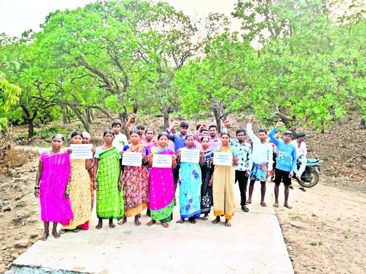 జీడి పంటకు మద్దతు ధర ప్రకటించాలి 