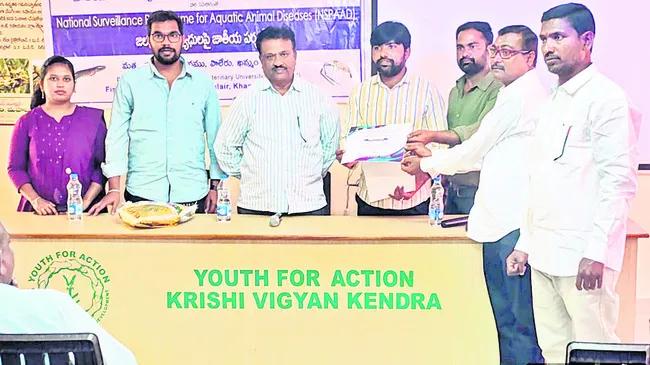 మెళకువలు పాటిస్తే  అధిక లాభాలు 
