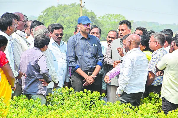 నూనెగింజల సాగుతో లాభాలు