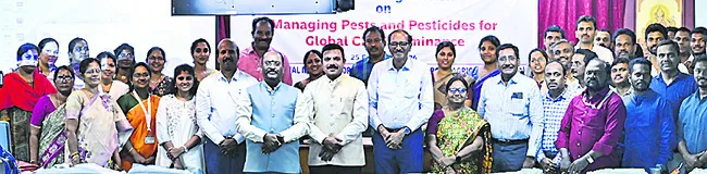 మిరపలో కొత్తరకం చీడ 