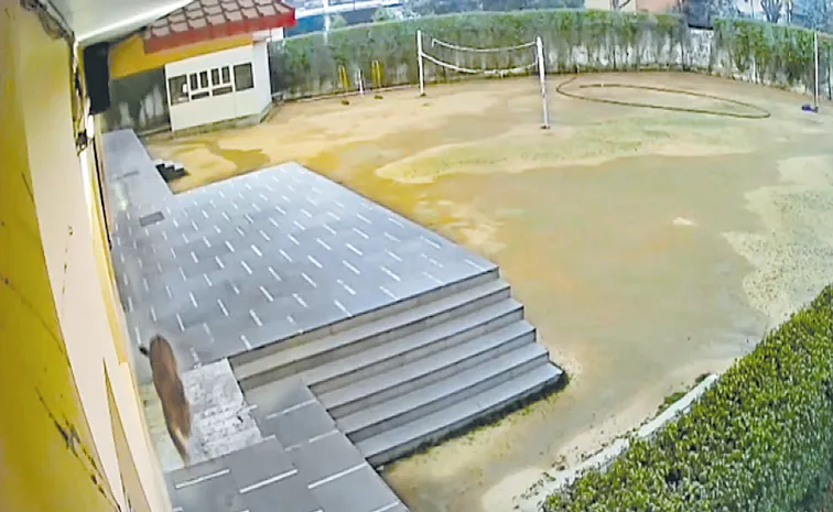 Leopard rescued from Ghaziabad school washroom