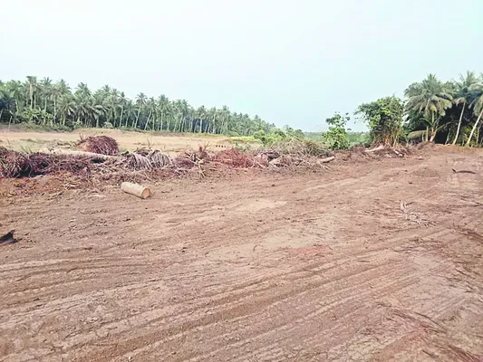 ఏమన్నుకుండా వదిలేసి..