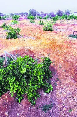 నేడు జిల్లా జేఏసీ ఎన్నికలు 