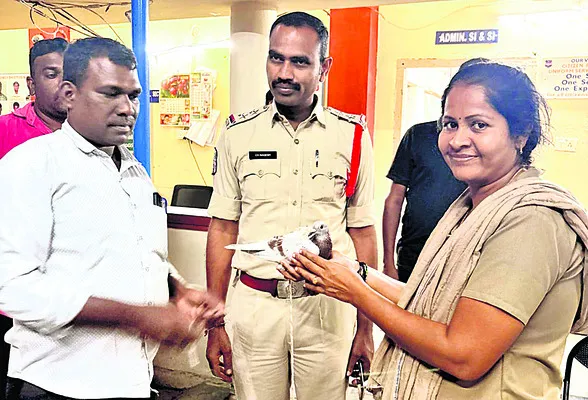 సింగరేణి ఓసీలో రేసింగ్‌ పావురం