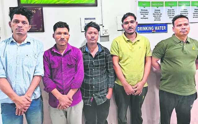 దొంగ తెలివి