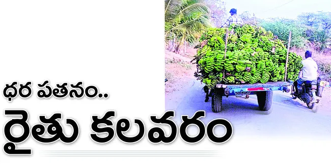 అరటి 