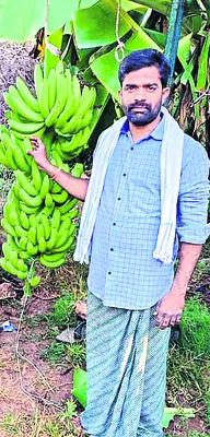 అమాంతం ధర తగ్గిస్తే ఎలా..? 