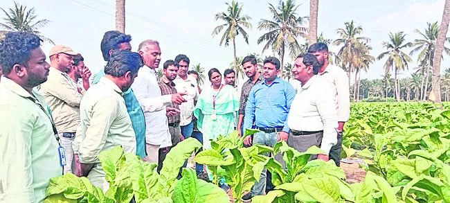 రైతులు ఆర్థికంగా నష్టపోవొద్దు