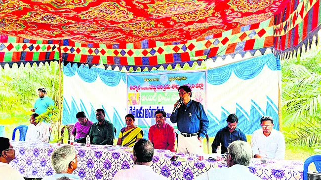 ఆయిల్‌పామ్‌ పంట లాభదాయకం