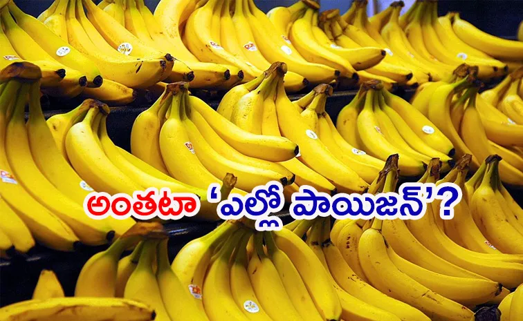 Are you eating chemically ripened bananas
