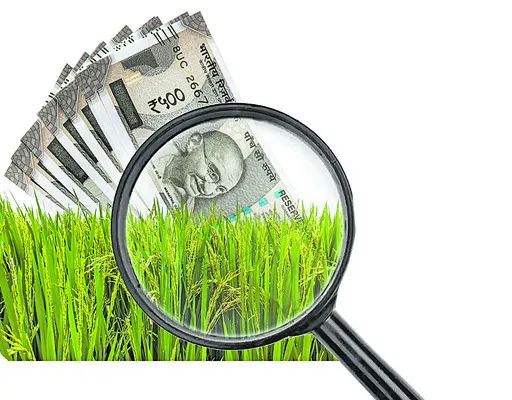 భరోసా.. నిరాశ!