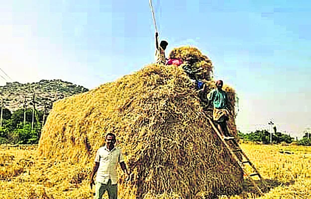 6న దంతపురాణ బాలల చిత్రం విడుదల 