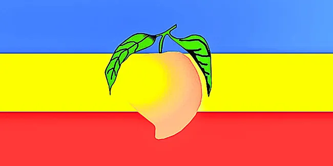 ‘మామిడి’ వార్‌ 