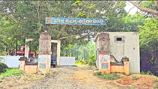 దిక్కులేని డైట్‌! 