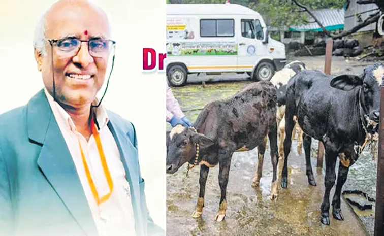 పశువైద్యంలో యాంటీబయాటిక్స్‌కు ప్రత్యామ్నాయం