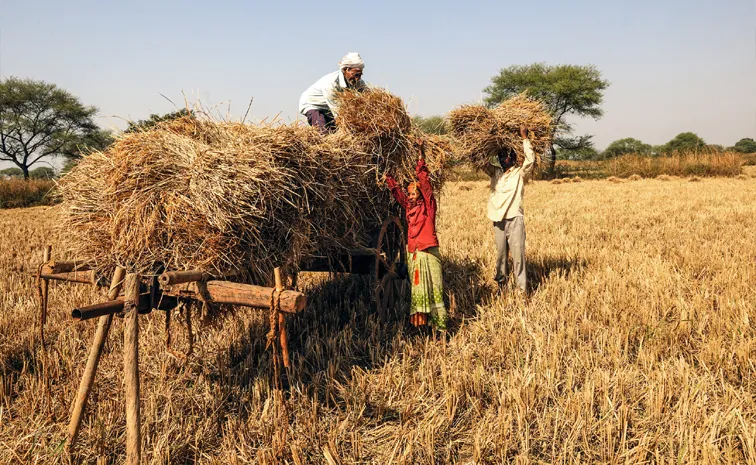 agriculture rural sectors find themselves sidelined in policy announcements