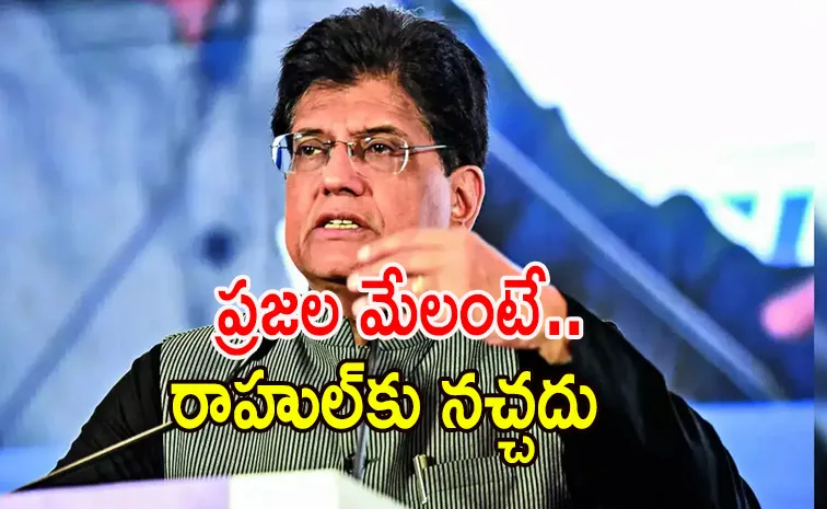 అమెరికాతో వాణిజ్య ఒప్పందంపై పీయూష్ గోయల్ వ్యాఖ్యలు