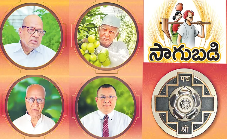 విరిసిన సేద్య పద్మాలు!