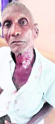 తాండూ