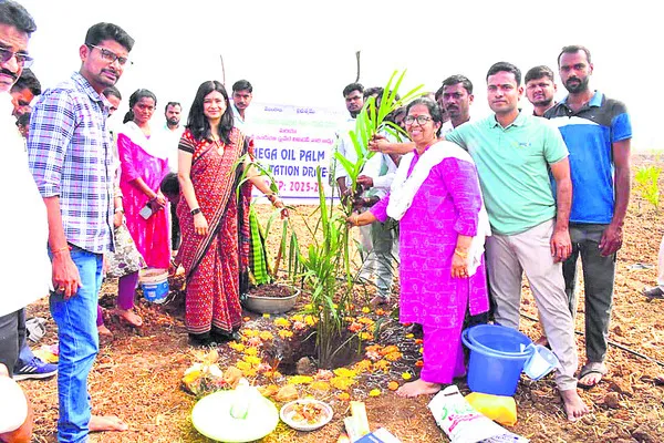 గడువులోగా సీఎంఆర్‌ పూర్తి చేయండి
