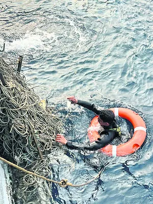 తాబేళ్లను రక్షించిన ఇండియన్‌ నేవీ