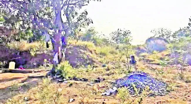 ● యథేచ్ఛగా దోచుకెళ్లారు.. 
