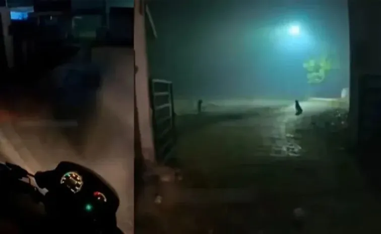 యువతికి ఆకలేసింది.. స్మశానం నుంచి బిర్యానీ ఆర్డర్‌ పెట్టింది!