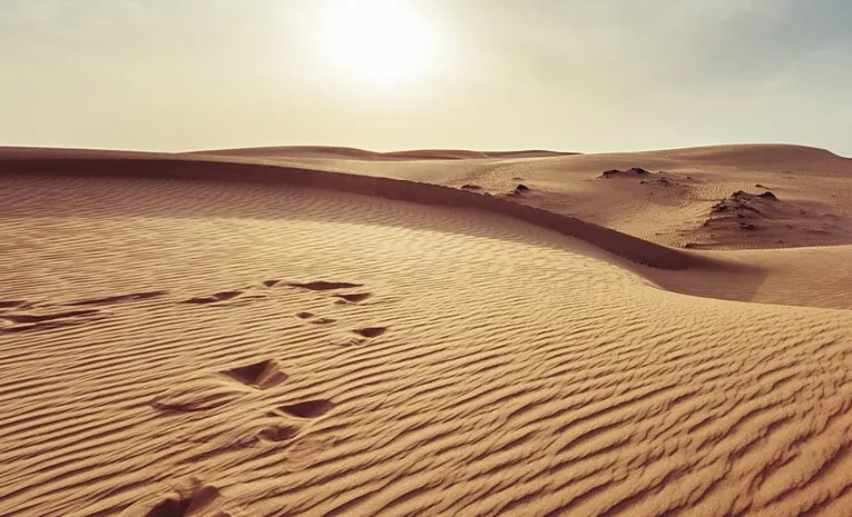 ఎడారిలో ఎనిమిదేళ్ల చిన్నారి... 15 కిలోమీటర్లు నడక 