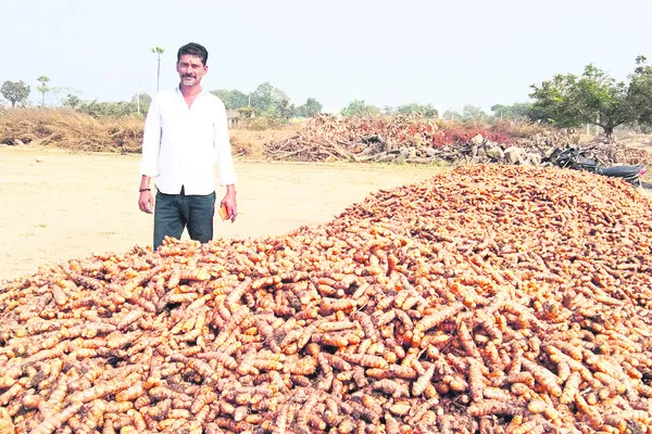 దిమ్మ తిరిగే దిగుబడి! 