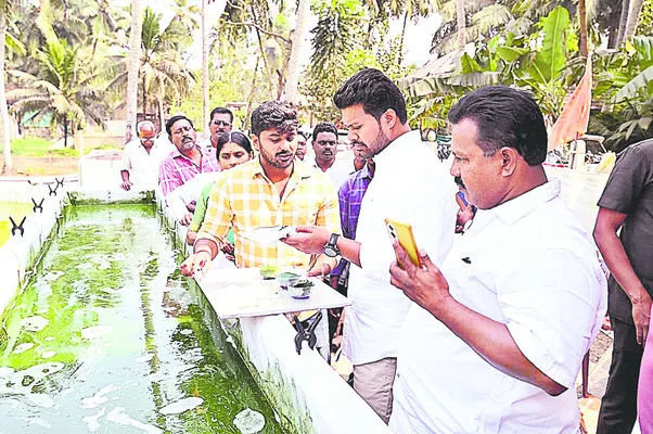 స్పైరులీనాలో పోషకాలు మెండు