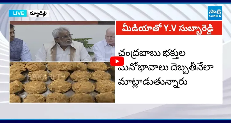 చంద్రబాబు భక్తుల మనోభావాలు దెబ్బతీనేలా మాట్లాడుతున్నారు
