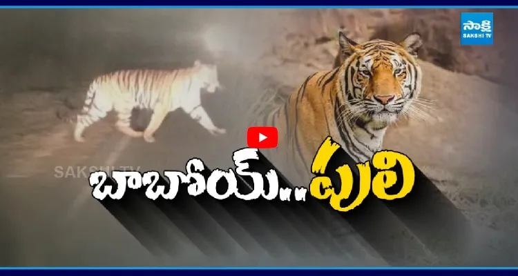 బాబోయ్ పెద్దపులి