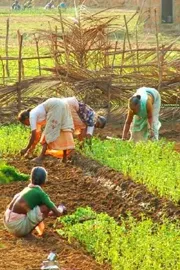 Piyush Goyal told India–US trade deal fully protects agriculture