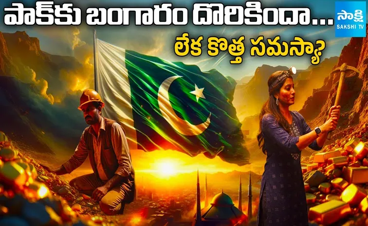పాక్‌కు బంగారం దొరికింది.. భూమిలో నుంచి బయటపడేది అప్పుడే..