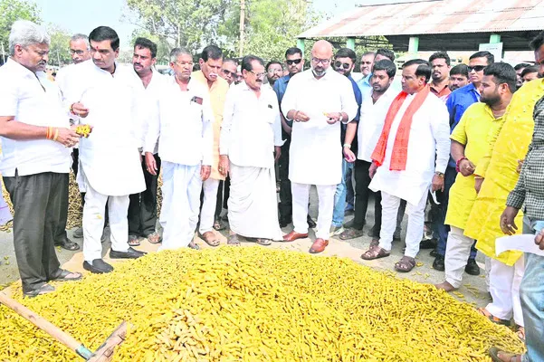 సేంద్రియ పసుపు రైతులకు ప్రోత్సాహకం 